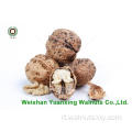 Pieni leggeri dei kernel di noce (LP) di Yunnan
